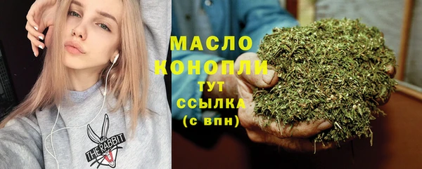 дмт Заводоуковск