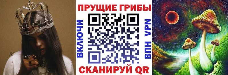 Галлюциногенные грибы MAGIC MUSHROOMS  Купить  Туймазы 